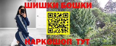 амф Камышлов