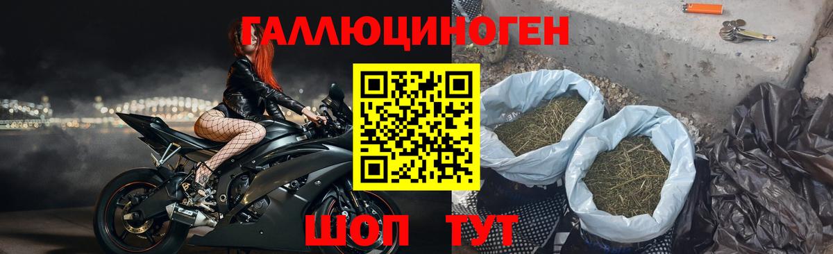 Галлюциногенные грибы Psilocybe  Вход с VPN  Жигулёвск 
