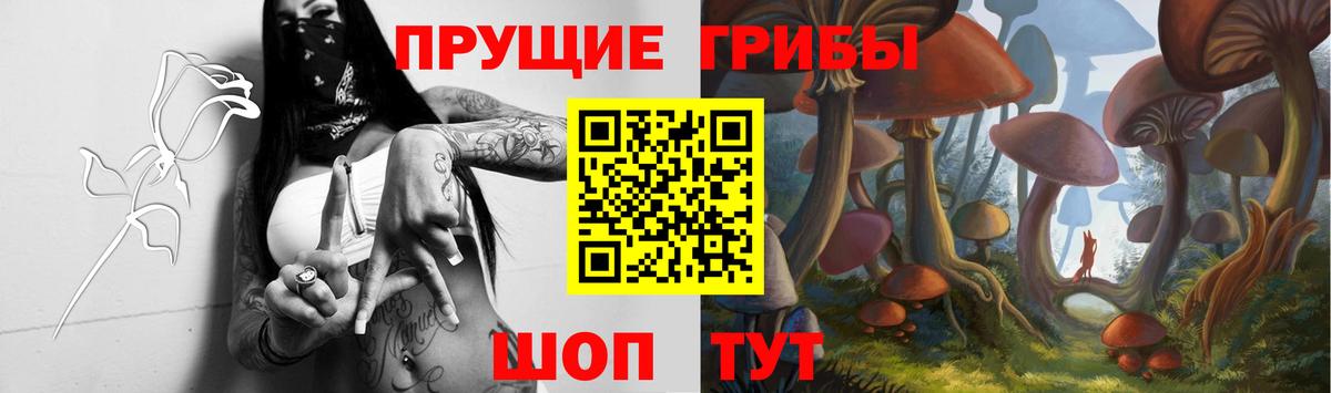 Галлюциногенные грибы MAGIC MUSHROOMS Жигулёвск